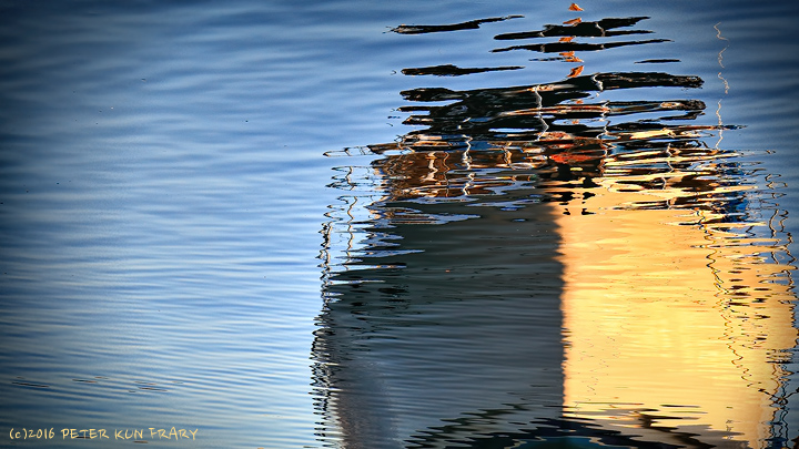 Reflection, ©Peter Kun Frary Reflection